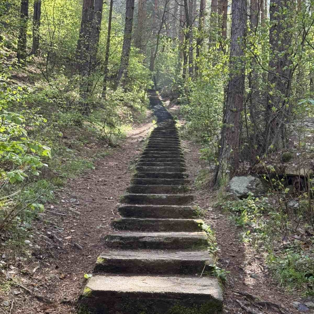 Екскурзия
