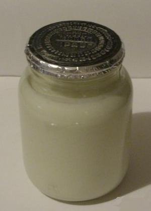 LACTOBACILLUS BULGARICUS