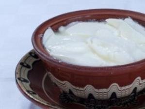 LACTOBACILLUS BULGARICUS