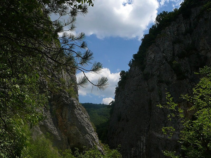 Старопланинска зона