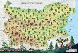 Животински свят