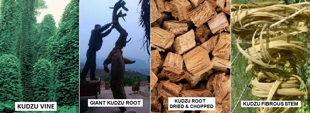 TECHNOLOGIES FOR ZERO-COST PRODUCTION OF BIOMASS, BIOFUELS, FOODS AND MATERIALS
