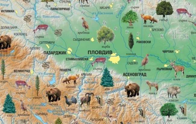 Животинския и Растителния свят в България