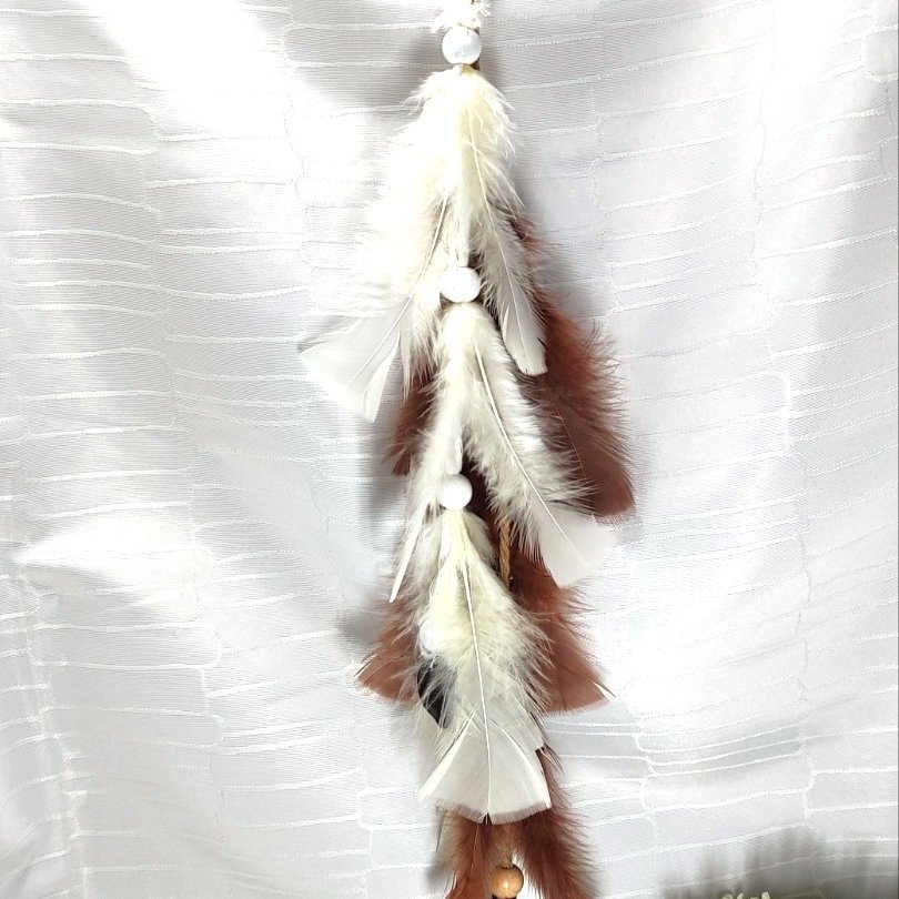 Домашен тотем | Ездра Нун