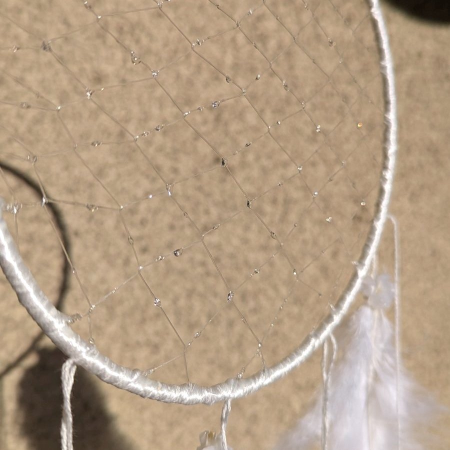 Капан за сънища | Лерах