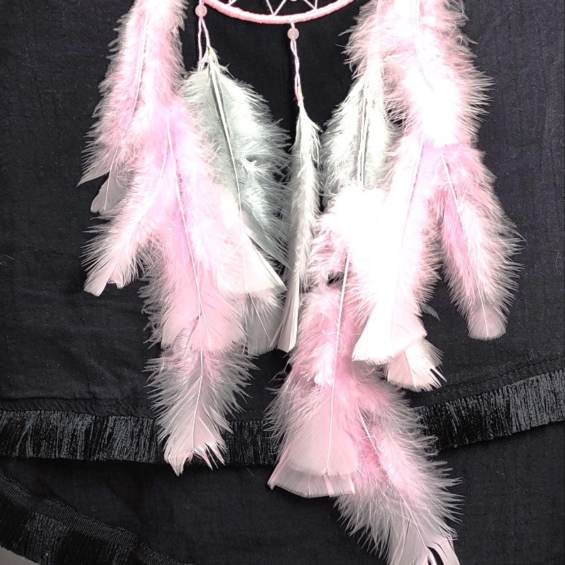 Капан за сънища | Алуна