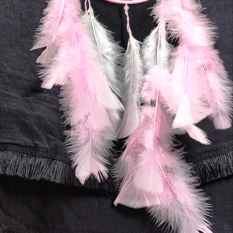 Капан за сънища | Алуна