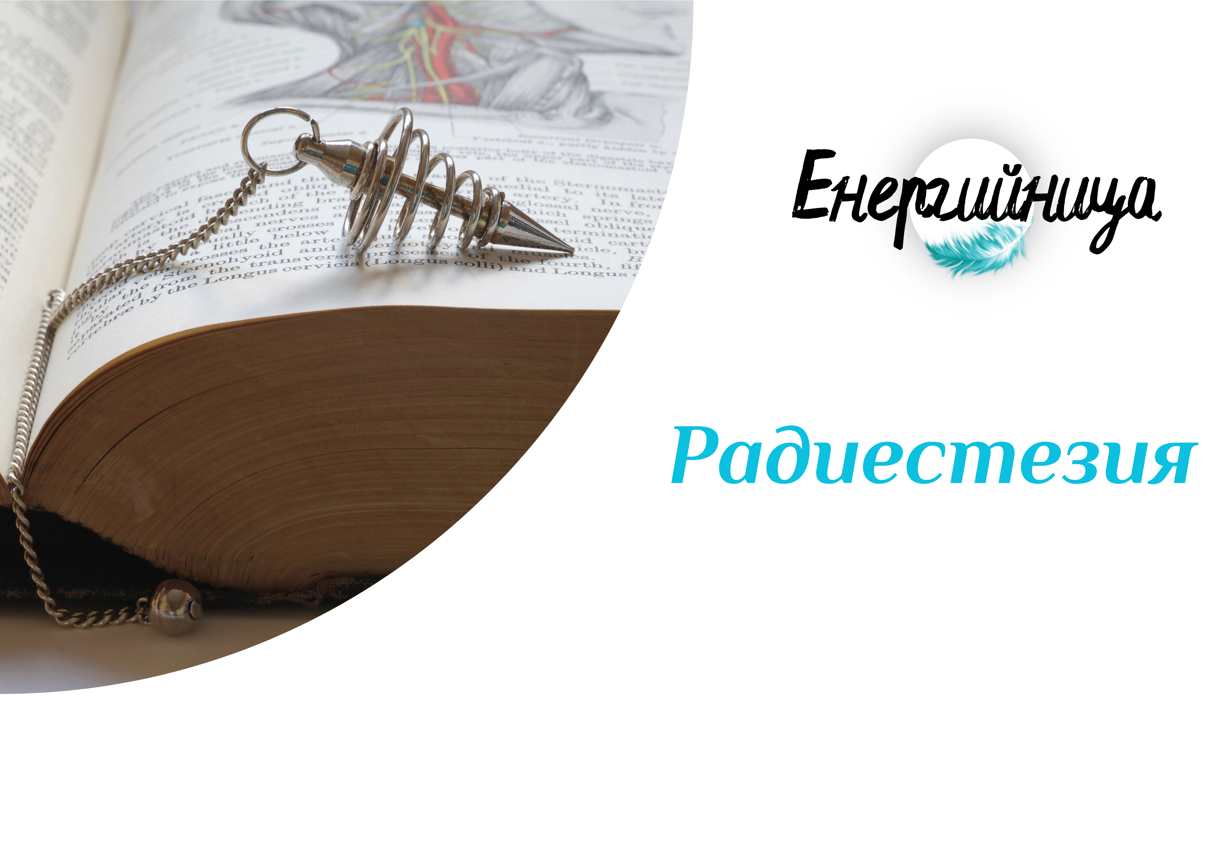 Обучение | Радиестезия