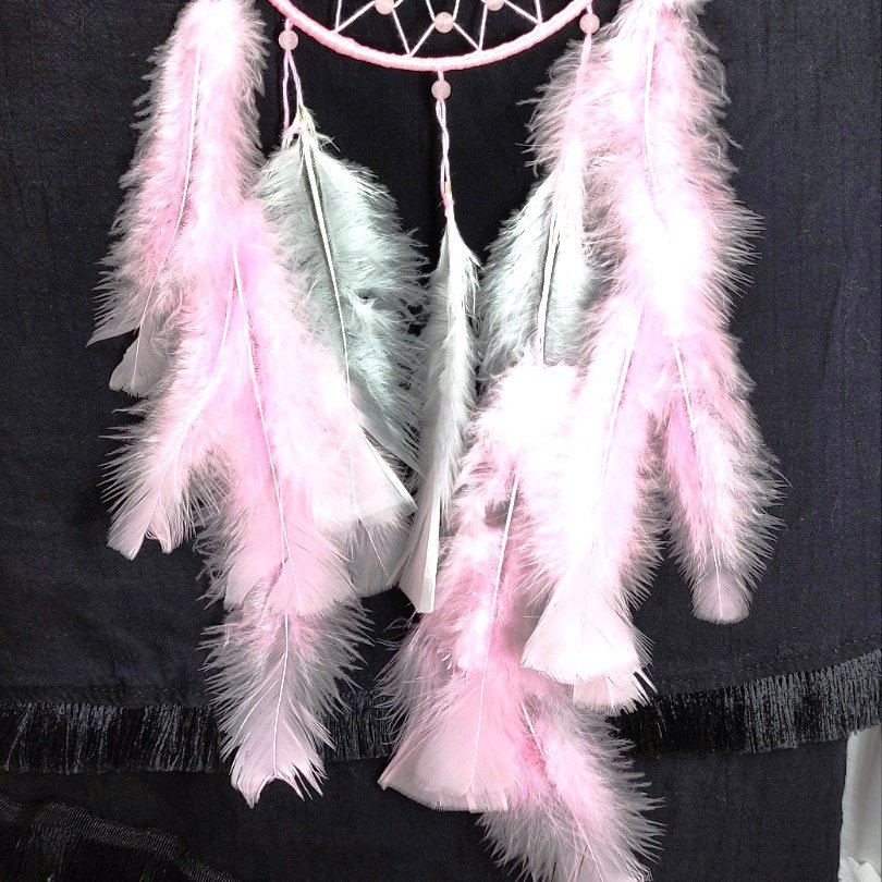 Капан за сънища | Алуна