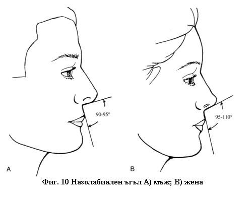 Анализ на лицето