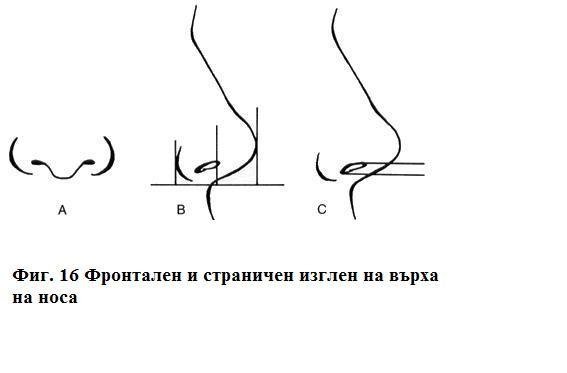 Анализ на лицето