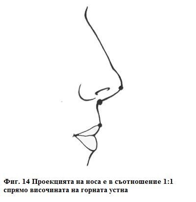 Анализ на лицето