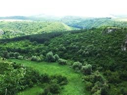 Стопанство на България.Стопански отрасли на България