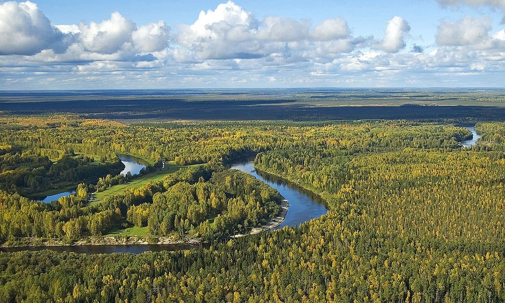 Равнини,долини и низини