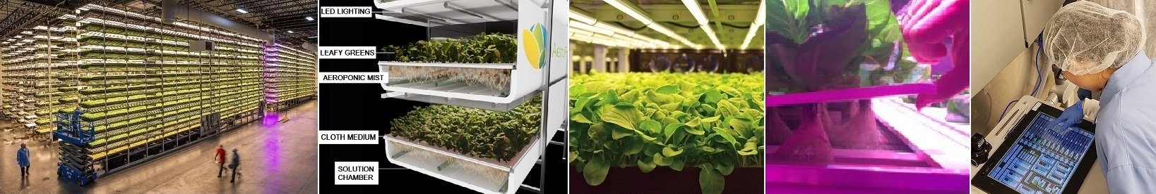 POWER & FUELS, DERIVED FROM PLANTS, GROWN INDOORS