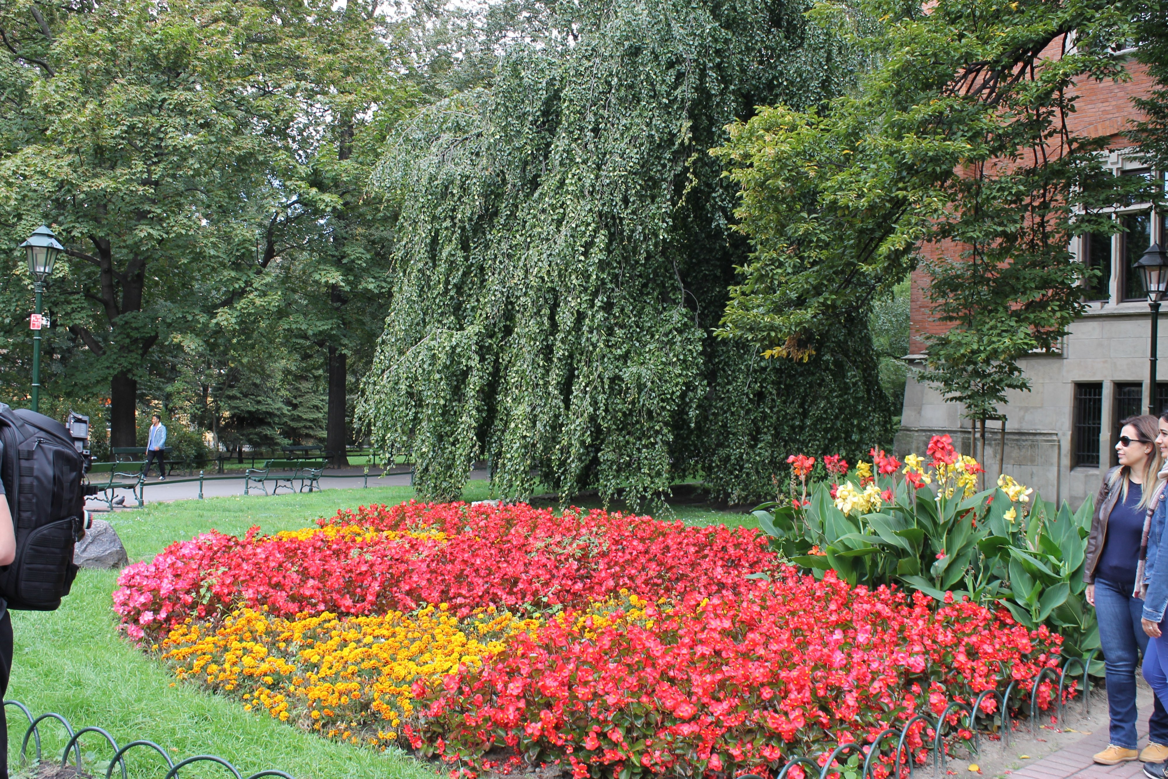 Photos from Poland