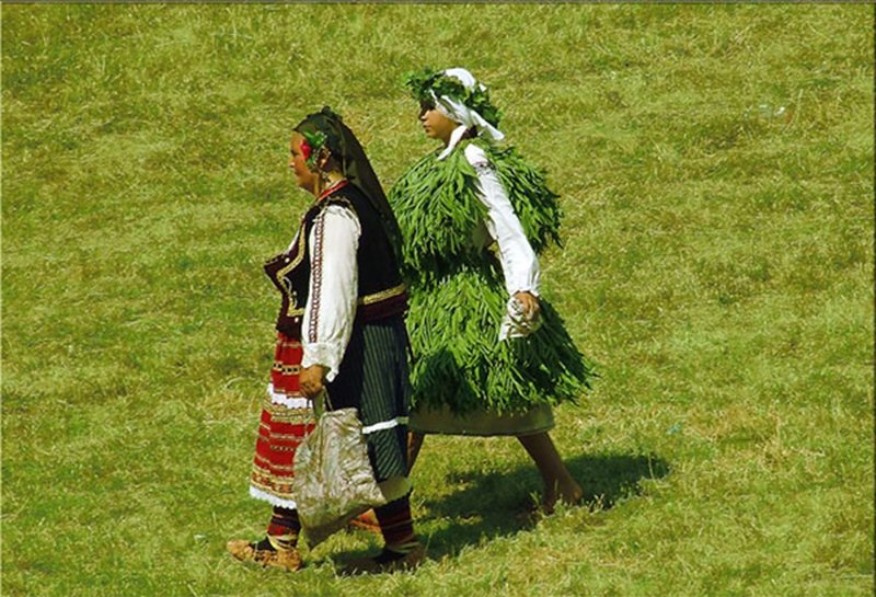 Глава 1