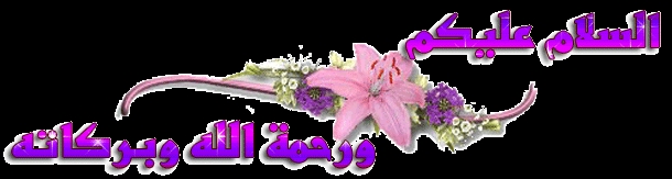 iman-islam.alle.bg