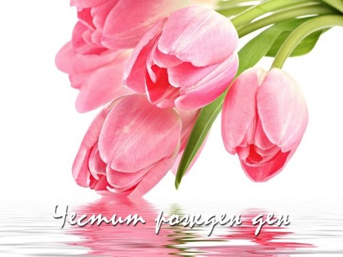 Картички за Рожден ден