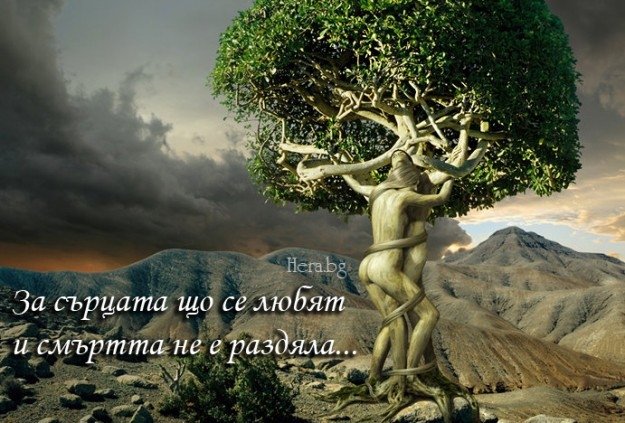 " Неразделни ''