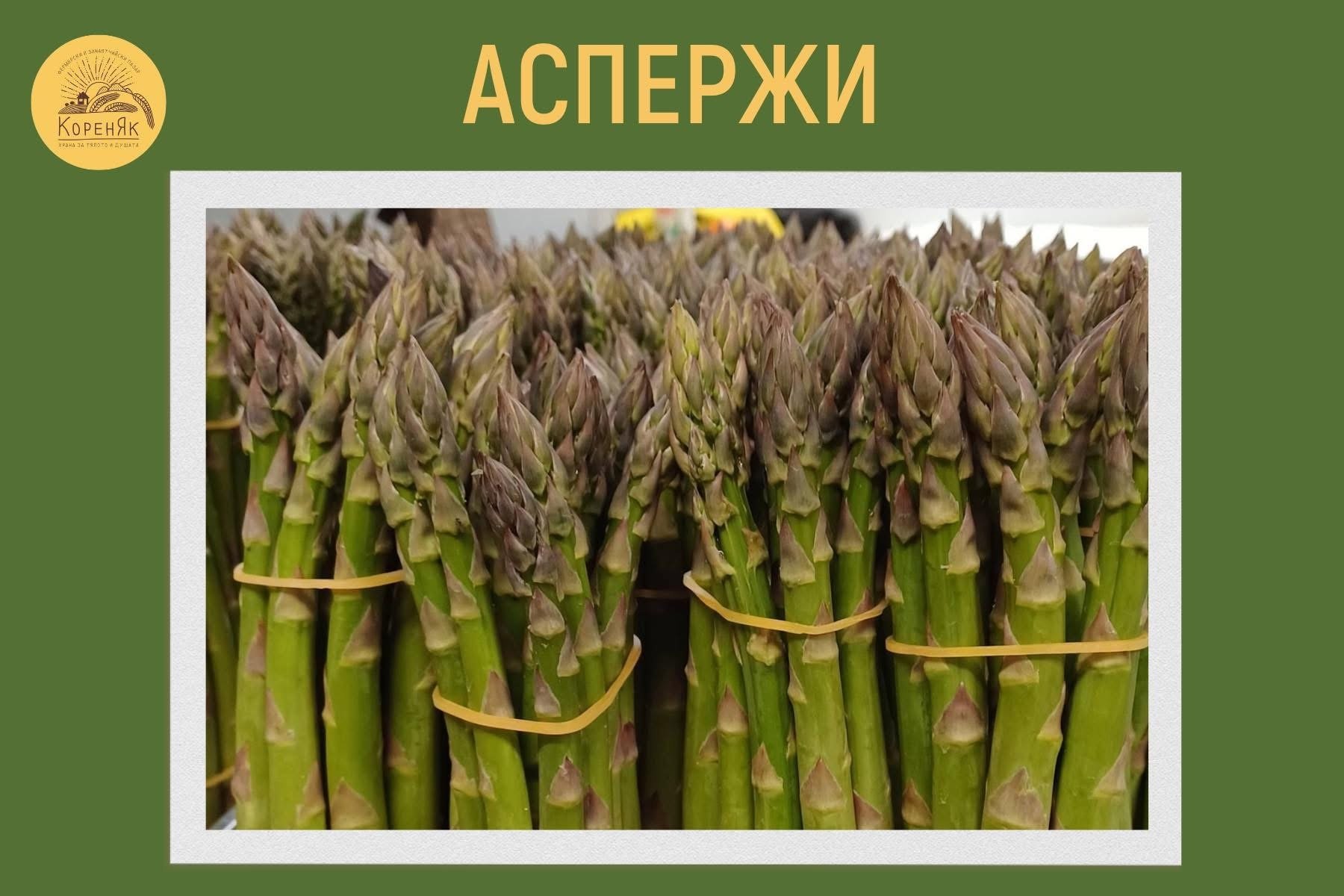 НАЧАЛО