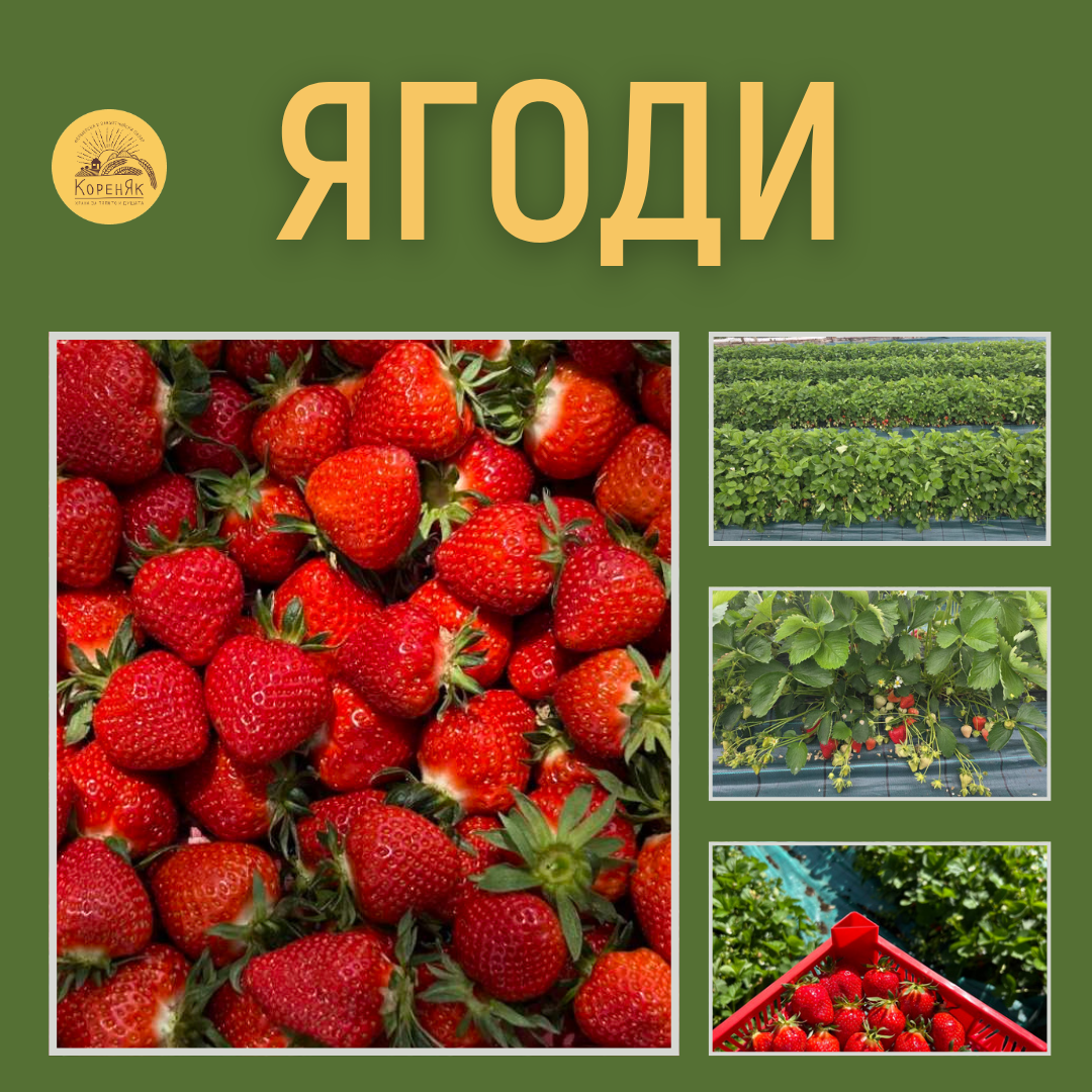 НАЧАЛО