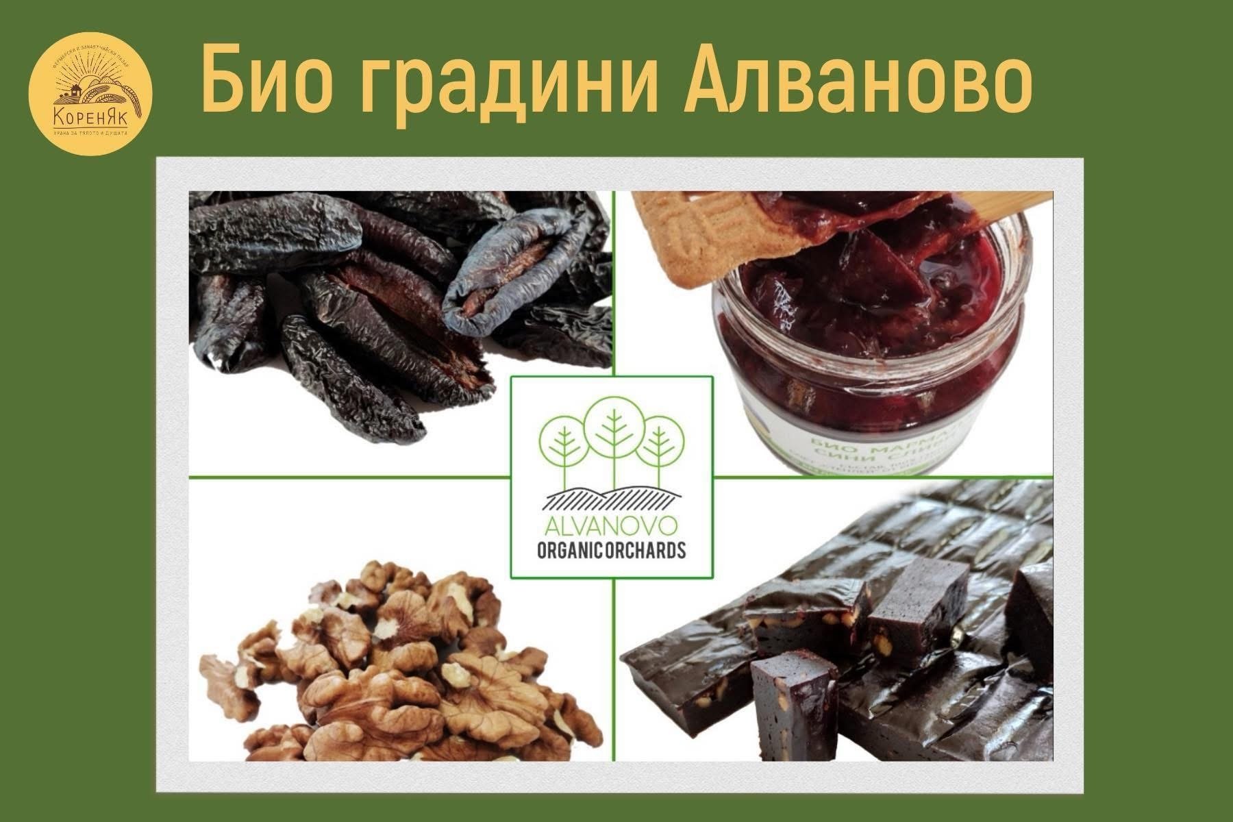 НАЧАЛО