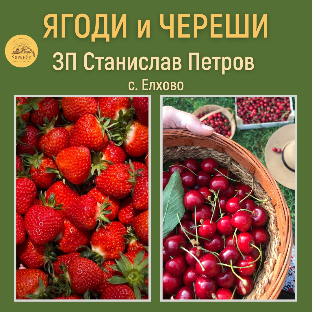 НАЧАЛО
