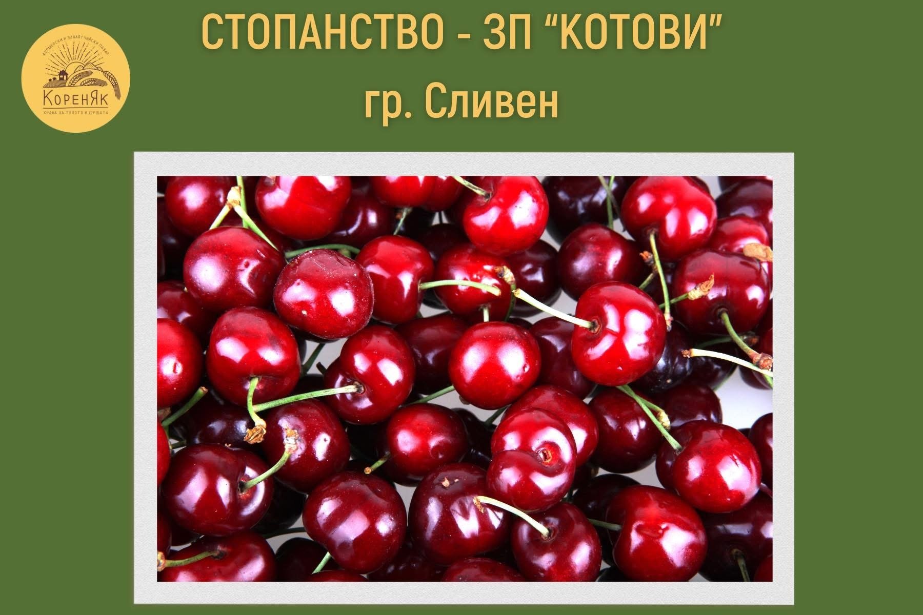 НАЧАЛО