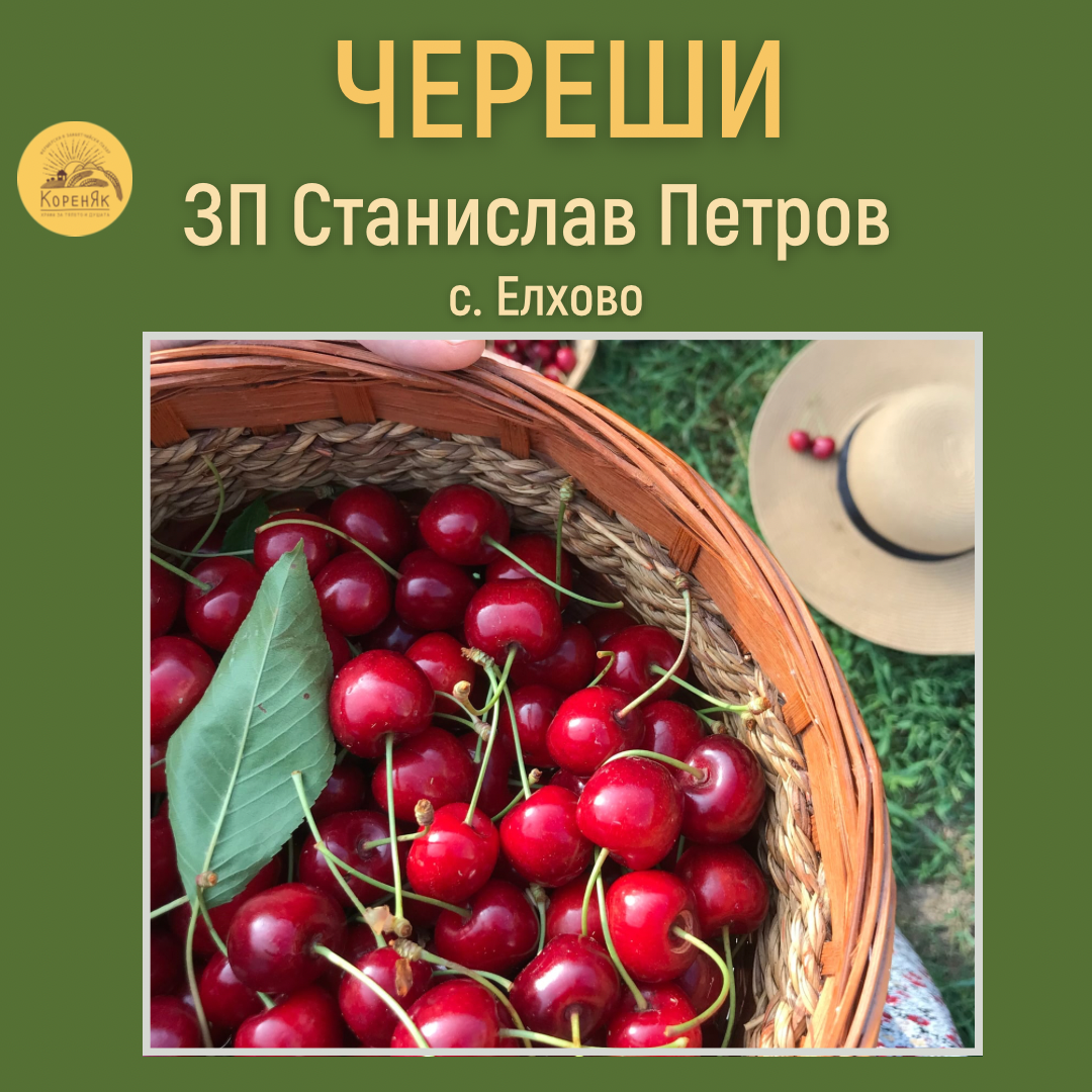 НАЧАЛО