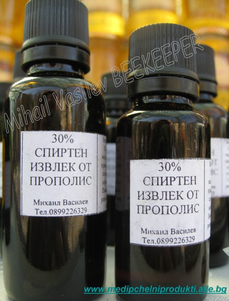 ПРОПОЛИС