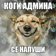 Мемета на БГ