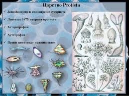 Допълнително