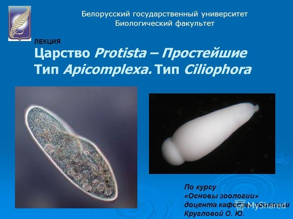Допълнително