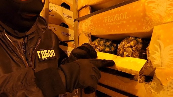 Престъпната група, внесла у нас колумбийски кокаин, е неутрализирана при съвместни действия със службите на Испания, Нидерландия и Колумбия | The News BG Reporter ®
