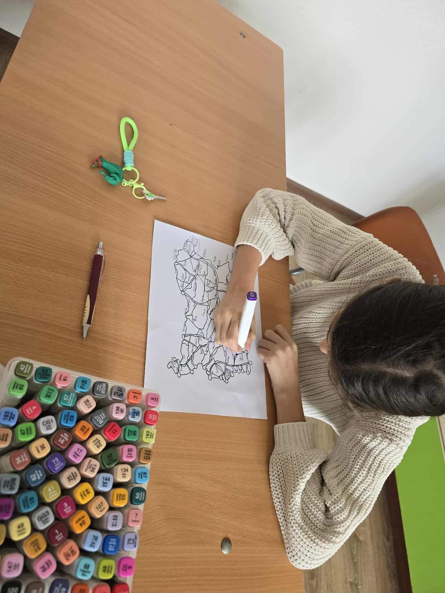 Инициативи по БДП