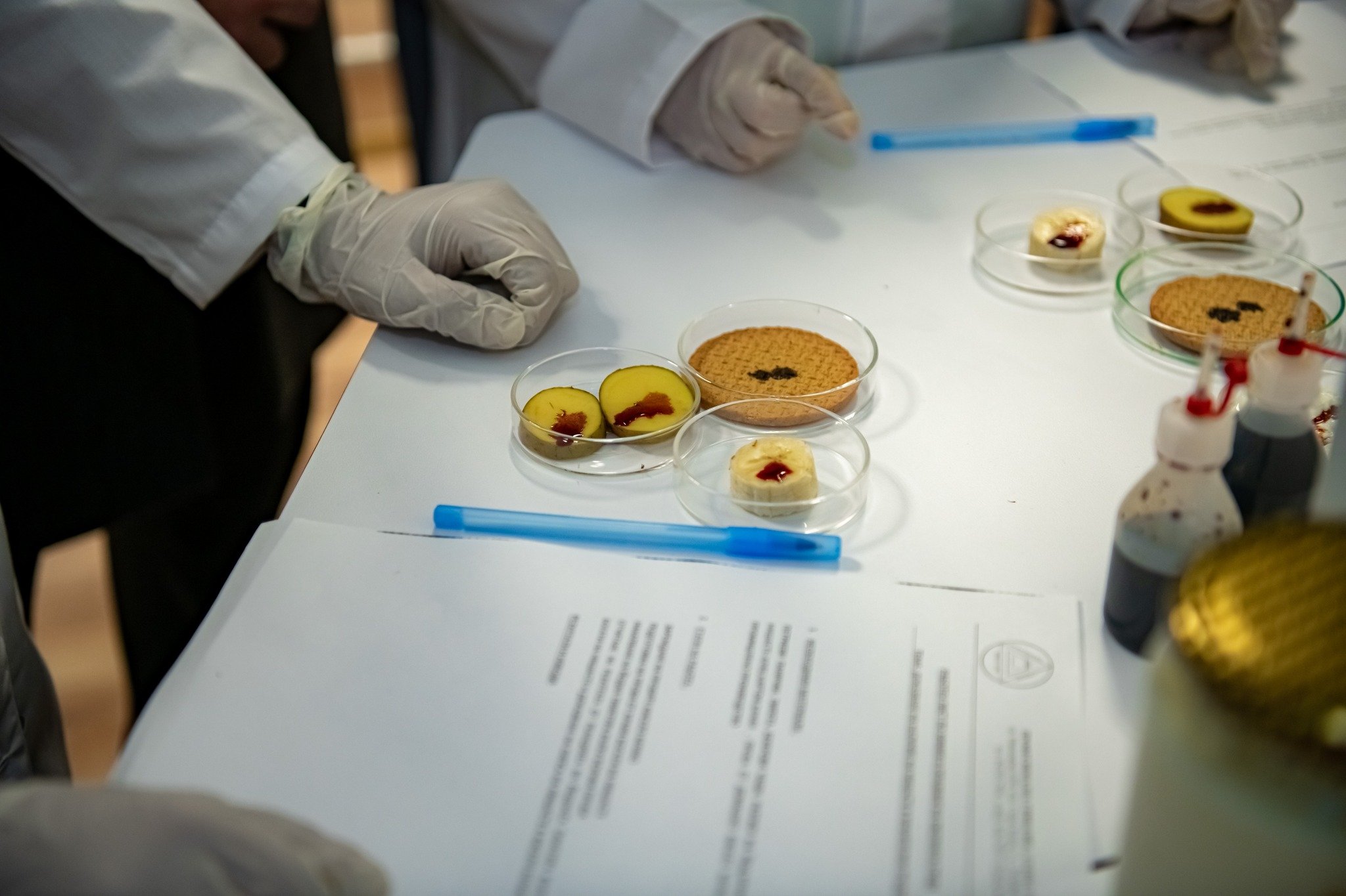 Училищна STEM среда