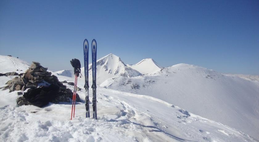 planinskizdravec.alle.bg