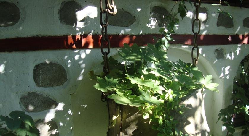 planinskizdravec.alle.bg