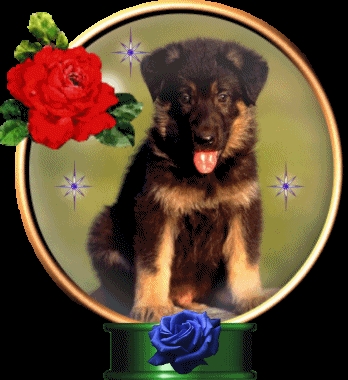 Картинки