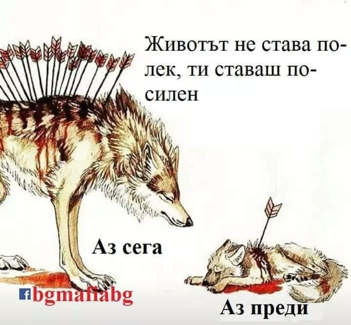 ИНТЕРЕСНО И ПОЛЕЗНО