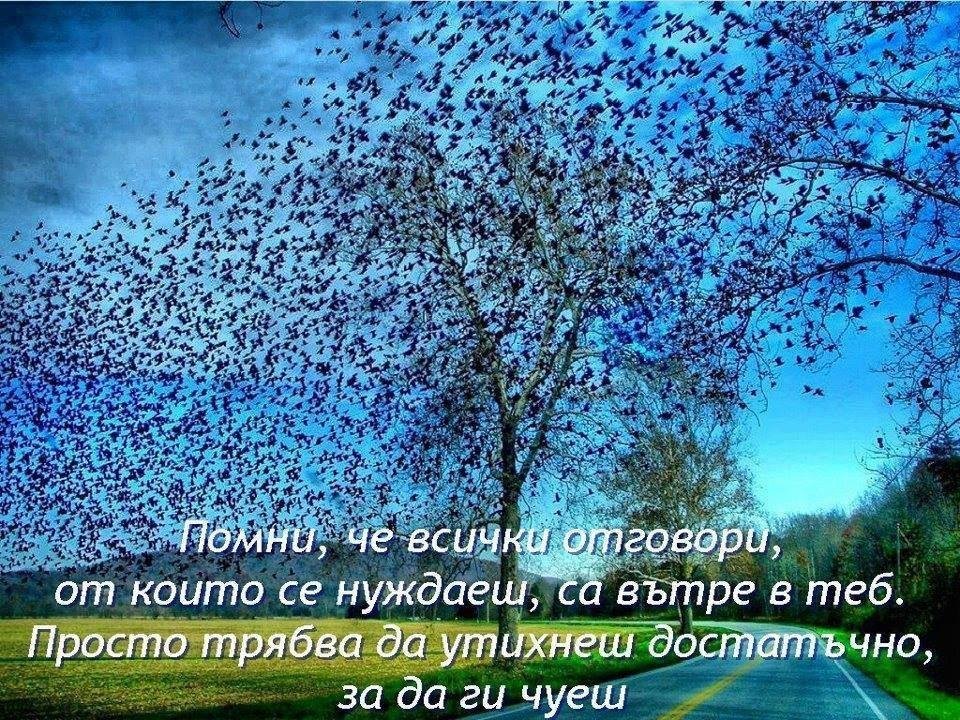 ИНТЕРЕСНО И ПОЛЕЗНО