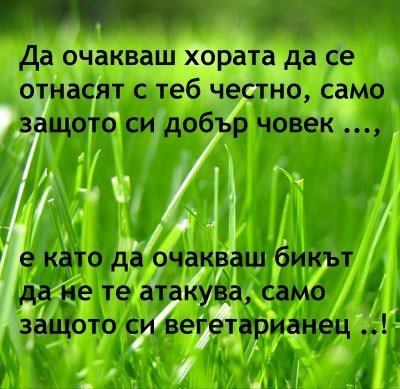 ИНТЕРЕСНО И ПОЛЕЗНО
