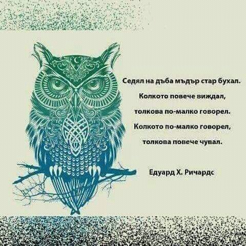 ИНТЕРЕСНО И ПОЛЕЗНО