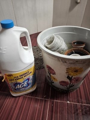 Дезинфекция на саксиите