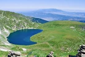 Сълзата