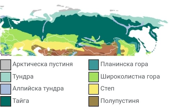 Байкал флора и фауна фото