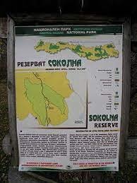 Соколна