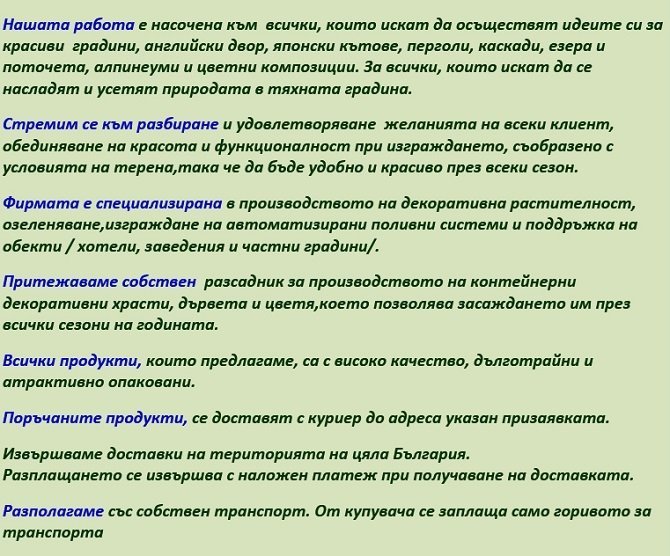 ЗАПАДНА ТУЯ ФАСТИГИАТА - ЗА ЖИВ ПЛЕТ, Thuja occidentalis Fastigiata, от 4.50 лв. нагоре цената