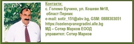 контакт